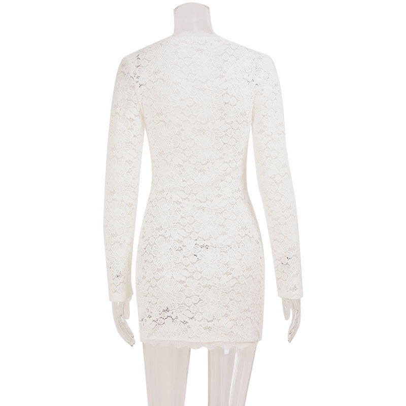 Lace Bodycon Mini Dress Sheer Hollow Out Low Cut Slim Fit Nightclub Party Wear Wholesale Available