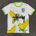 Brazilian peace dove white