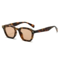 Regular (including 13% special ticket) leopard print frame champagne slices
