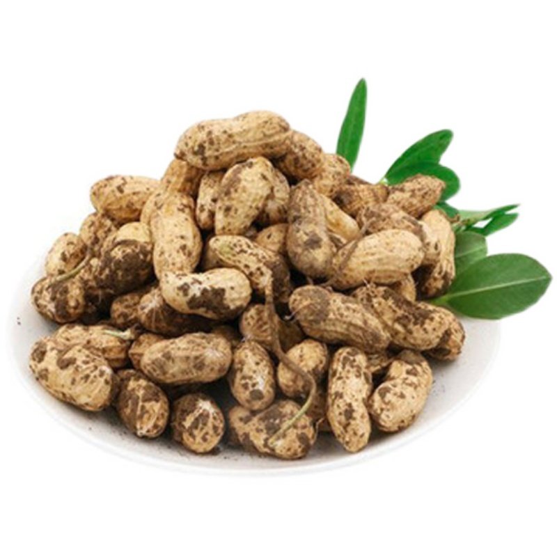 20 Fresh Shelled Fresh Peanuts Dug Every Day and Freshly Dug with Red Skin and Pink Skin Wet Peanuts Farm Shelled Raw Peanuts