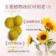 BEKAY Rose Shurun Essence Oil 30ml Essence Oil Hydrating Moisturizing Moisturizing Essence Facial Care