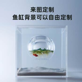 Taopet Fish Tank Background Picture High Definition Uv Printing Factory Direct Sales Fish Tank Stream Tank Background