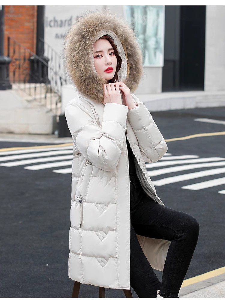 không xác định
