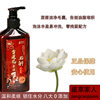 Buy One Get Three Himalayan Snow Lotus Shampoo Bottle 300ml Traditional Safe Use No Additives