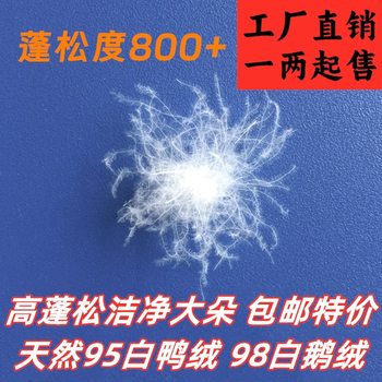Bulk down White Duck down 95 Large White Goose down down Raw Material down Quilt Filling Duck Feather National Standard 90