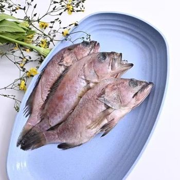 Sf Express Free Shipping Wild Grouper Fresh Sea-Caught Tiger Grouper Pearl Grouper Red-Mouthed Grouper Seafood Aquatic Products Wholesale All Year Round