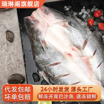 Fresh Frozen Basa Fish, Catfish, Mekong Fish, Sea Fish, Grilled Fish, Semi-Finished Products, Commercial Seafood and Aquatic Products Wholesale