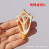 Natural shell conch sliced rose snail handmade diy clothes accessories decorative crafts necklace material wholesale