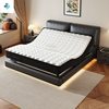 Modern Minimalist Large Black Leather Luxury Smart Multifunctional Electric Smart Combination Master Bedroom Leather Floating King Bed