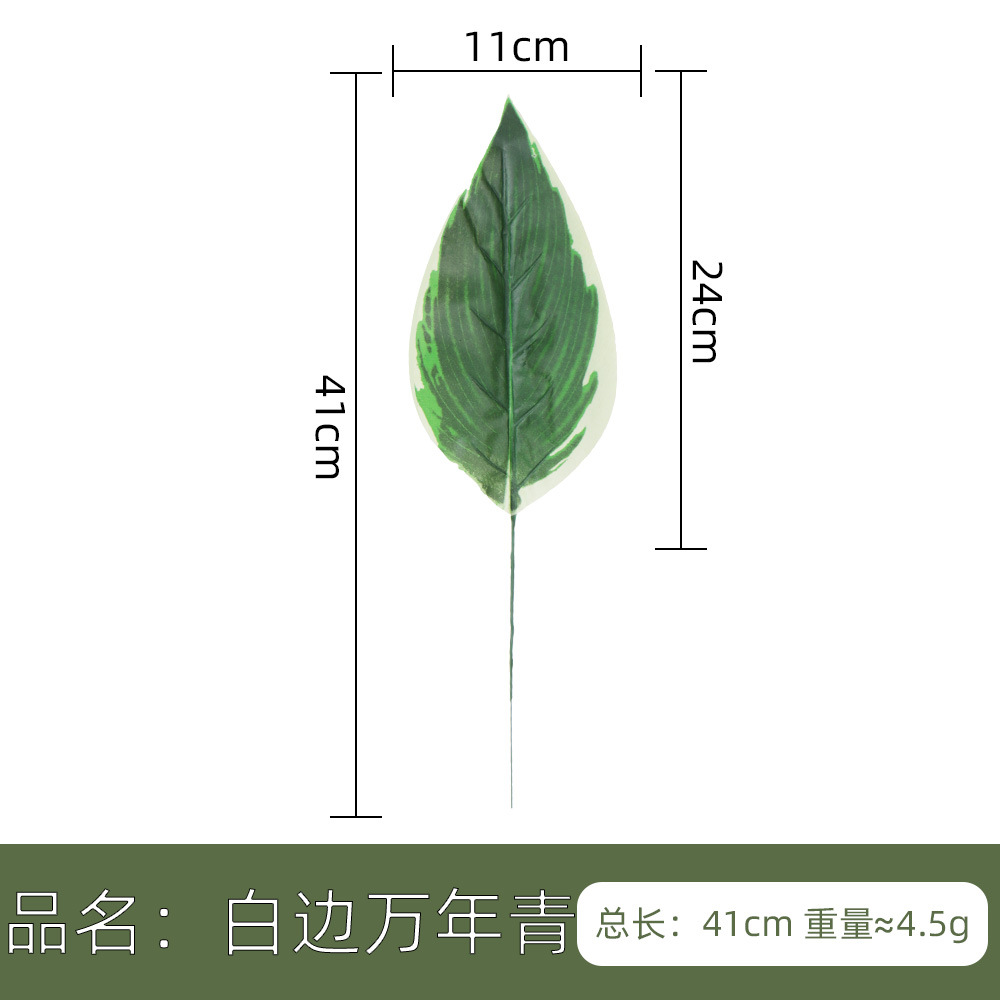 仿真人造植物叶子 单片绿叶春雨叶美人蕉 北欧家居风插花装饰配材