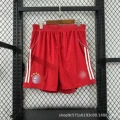 2526 bayern home pants
