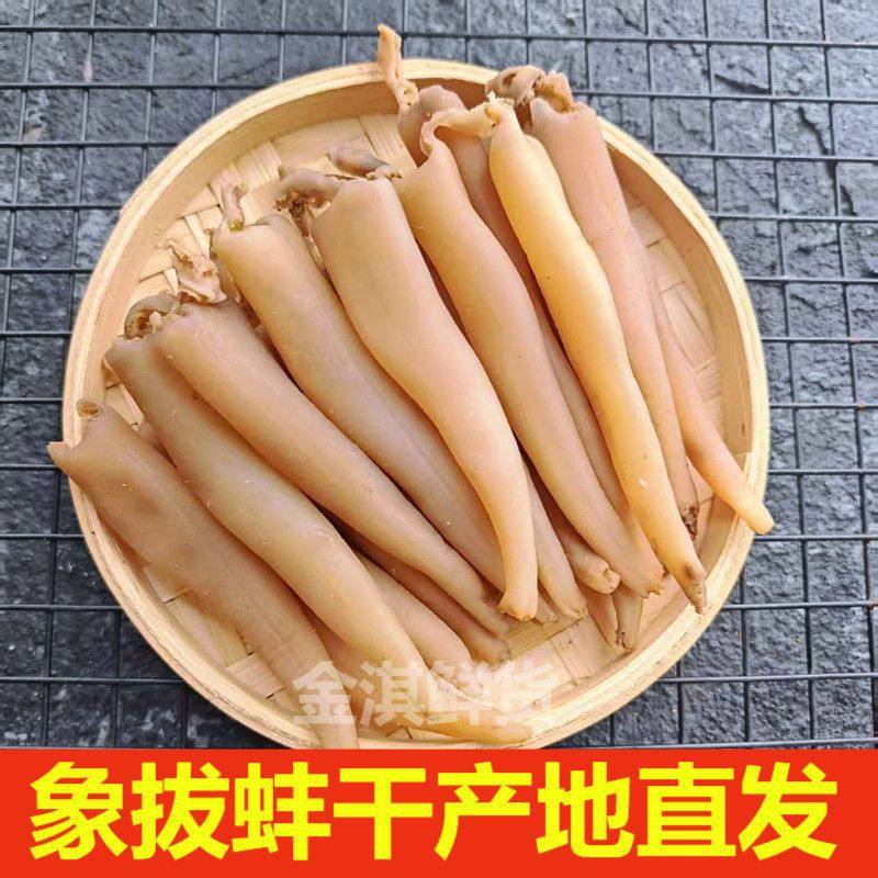 Dandong Specialty Dried Abalone, Dried Sea Bamboo Shoots, Dried Sea Clams, Dried Ivory Clams, Dried Seafood, Hotel Ingredients Wholesale