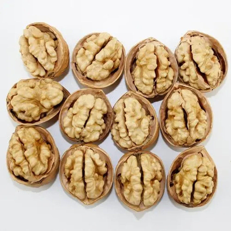 Wholesale Xinjiang paper walnut 185 paper walnut 500g skin thin nuts full hand pinch that open dried fruit snacks