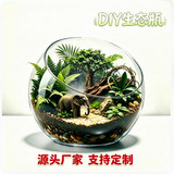 Микро-ландшафтный мох бутылка стеклянный контейнер DIY материальный пакет суккуленты экологическая бутылка прозрачная наклонная мини-ваза