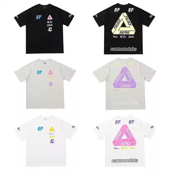 2025 New Palacc Triangle Print Premium Casual Short-Sleeve Loose Fit T-Shirt Unisex