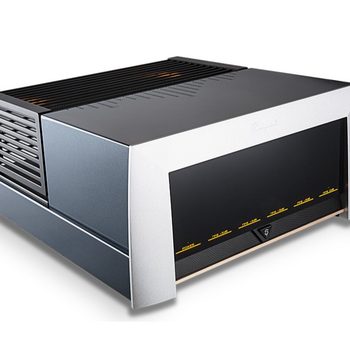 Cayin Kayin Spock M-845D Fever Class Electronic Tube High Power Gallbladder Front and Rear Class A Power Amplifier