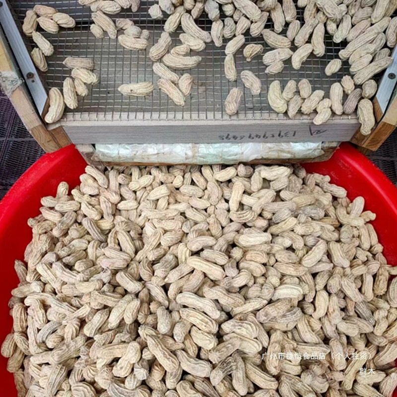 Longyan Wet Roasted Colorful Peanuts in Shells Cooked Fresh Fujian Longyan Specialty Gift Salty Dry Snacks