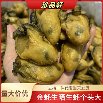 Vacuum Large Dried Oysters, Light Sun-Dried Oysters, Dried Oysters with Paste, Dried Seafood 500g Oyster Meat Seafood Products