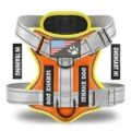 Orange/yellow