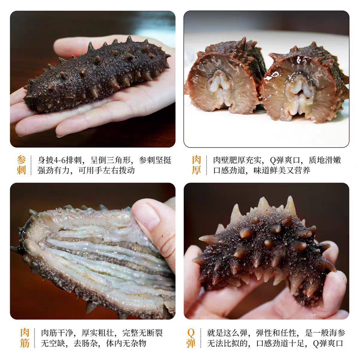 Dalian Seafood Specialty Ready-To-Eat Sea Cucumber Fresh Dried Goods Wild Sea Cucumber Individually Packaged Gift Box Wholesale