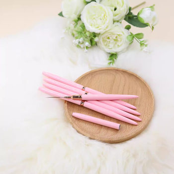 Japanese style pull line pen fine industry nail art brush suit 5 flower painting drawing color light therapy pen tool