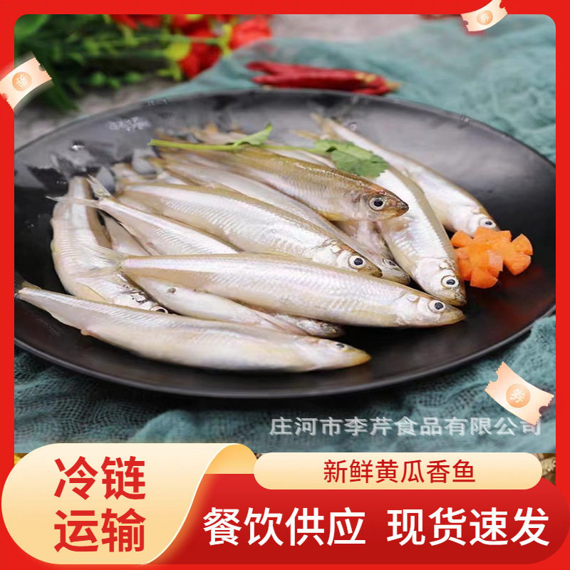 Li Qin, a Live Fish Wholesaler, Uses Cucumber-Smoked Fish/Processed Fish, Freshwater Small River Fish, Dried Small Fish, Raw Materials, Fish Meal, and Fish Heads