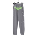 146-2 pants Gray
