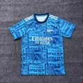 Arsenal fans 4