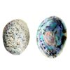 Source Factory Abalone Shell Sage Aromatherapy Burning Container Shell Bowl Wholesale Creative Home Decorations Cross Border