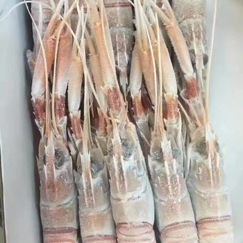 New Zealand Qiao Shrimp No. 1 Qiao Shrimp Seafood Sashimi Platter Deep Sea Crayfish Sea Prawn Ready-To-Eat 2kg Box for Commercial Use