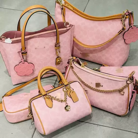 Coco Chanel Top-Tier Edition Boston Limited Pink Rowan Mini Pillow Bag Classic Monogram Handbag Shoulder Crossbody Bag
