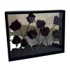 Wooden Photo Frame Specimen Frame Double-Sided Transparent Three-Dimensional Hollow Dried Flower Display Stand Creative DIY Animal and Plant Display Frame