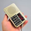 Happy Companion L-238 Card Speaker Multifunctional Elderly Radio Portable Player Large Button Radio