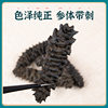 Selected Black Thorns Light Dried Sea Cucumber Wholesale American Dragon Pattern Ginseng 45 Threaded Ginseng Seafood Dry Goods Ready for Supply