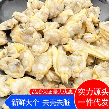 Fresh Extra-Large Clam Meat Jerky, Frozen Sand-Free Clam Meat, Fresh Ready-To-Eat Clam Meat, Clam Meat Without Ice Coating, Commercial
