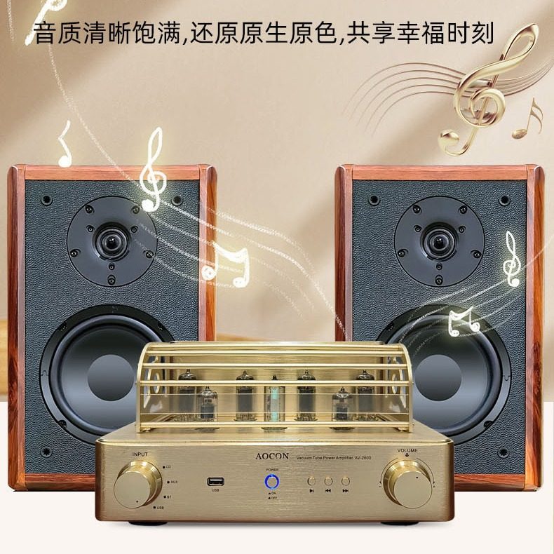 Professional-grade electronic tube pure gallbladder power amplifier fever-grade Bluetooth USB high-end lossless decoding HIFI sound quality