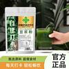 Self-Discipline Partner Kale Chia Seed Soy Milk Powder Individually Packaged Small Bags for Brewing Drinks Wholesale Delivery