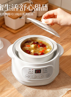 Electric Ceramic Double Boiler Slow Cooker, Mini Soup Pot