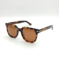 Hawksbill color