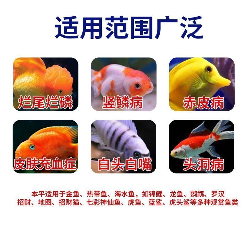 [Drop Shipping] Erythromycin for Aquarium Fish, Koi Goldfish, Rotten Flesh, Rotten Tail, White Spots, White Batting, Antibacterial Water Purification Turtle