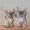 seller product image