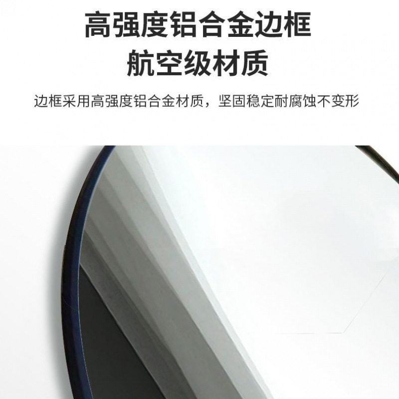 Light Luxury and High-End Dressing Mirror, Full-Body Floor-Standing Home Girl's Bedroom Wall-Mounted Internet Celebrity Clothing Store Fitting Mirror