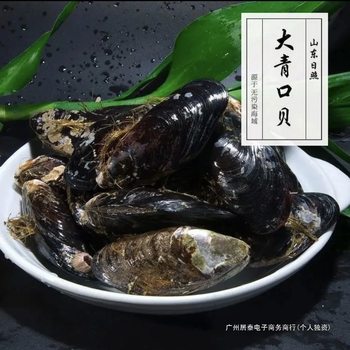 Sf Express Free Shipping Rizhao Live Fresh Small Seafood Pack Fresh Thick Shellfish Wholesale Original Flavor Seafood Clams