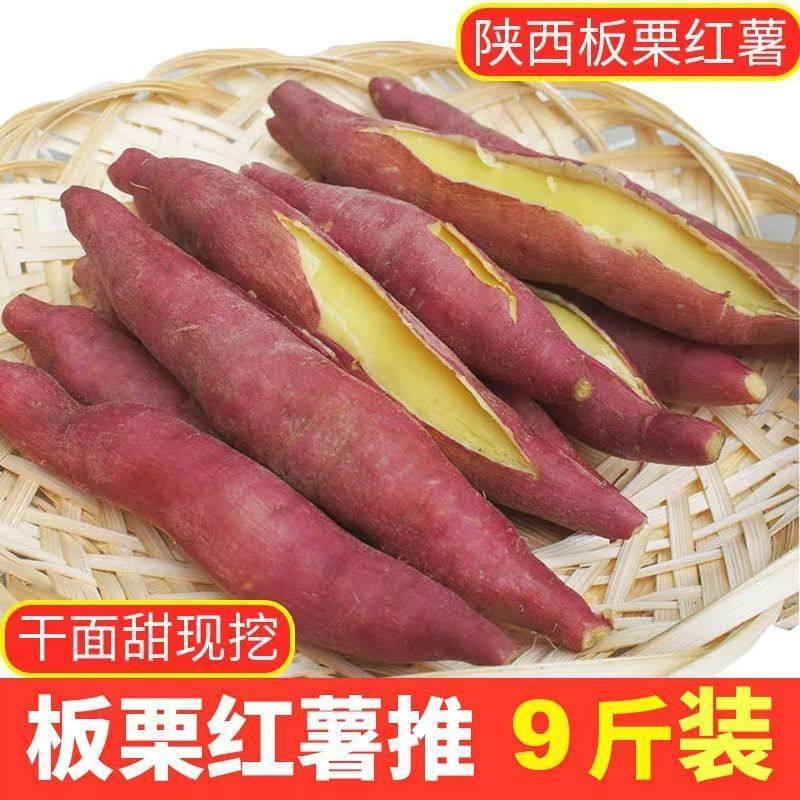 Shaanxi Linzhou Chestnut Sweet Potatoes Fresh Sandy Floor Chestnut Sweet Potatoes Fresh Sweet Potatoes Wholesale Cross-Border E-Commerce
