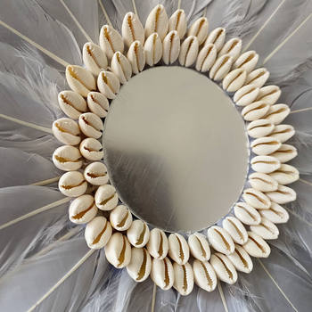 Natural Small Conch Shell Gold Edge Shell Handmade DIY Feather Wall Hanging Accessories Material Decorative Crafts