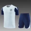 2526 short sleeve inter milan light gray