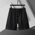 3733 black