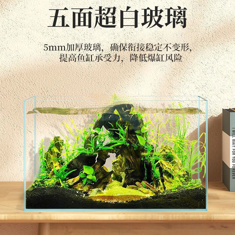 Ultra-Clear Glass Aquarium Rectangular Small to Medium-Sized Living Room Home Bare Tank Desktop Tank Turtle Tank Factory Direct