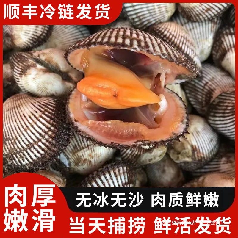 Dalian Seafood, Fresh Water Products, Wild Clams, Hairy Clams, Live Abalone, Edible Agricultural Products, Frozen Aquatic Products