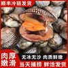 Dalian Seafood, Fresh Water Products, Wild Clams, Hairy Clams, Live Abalone, Edible Agricultural Products, Frozen Aquatic Products